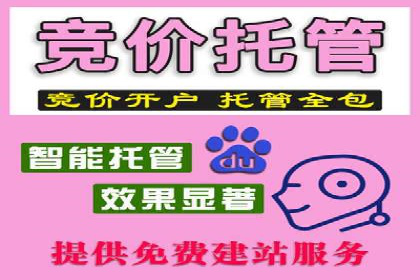 某行业利用百度SEM提升转化率的实战案例